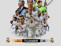 拜仁慕尼黑锁定水晶宫新星，德甲巨头延续鹰队引援战略