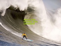 澳网2024，新星闪耀与传奇续写，墨尔本公园再掀网球风暴