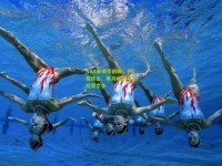 NBA新赛季前瞻，巨星转会、黑马崛起与总冠军之争