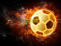 中国蝶泳新星闪耀国际赛场，破纪录夺冠引全球瞩目