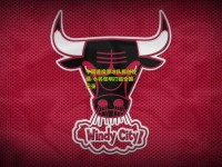 中国速度滑冰队再创佳绩 小将张明打破全国纪录